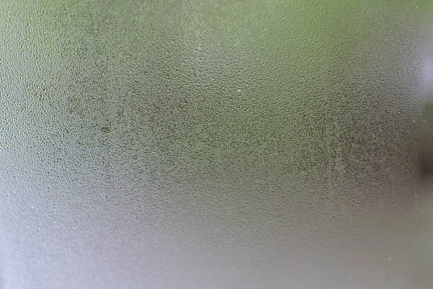 Película de vidro fosco