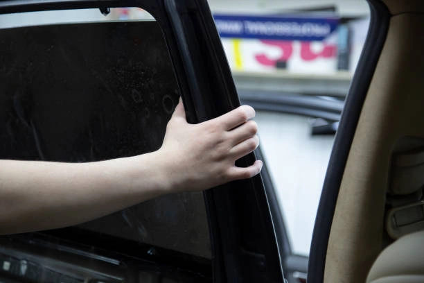 Películas antivandalismo