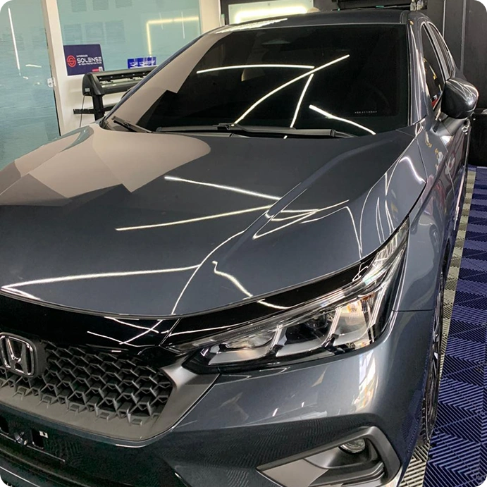 imagem da Codorna Film